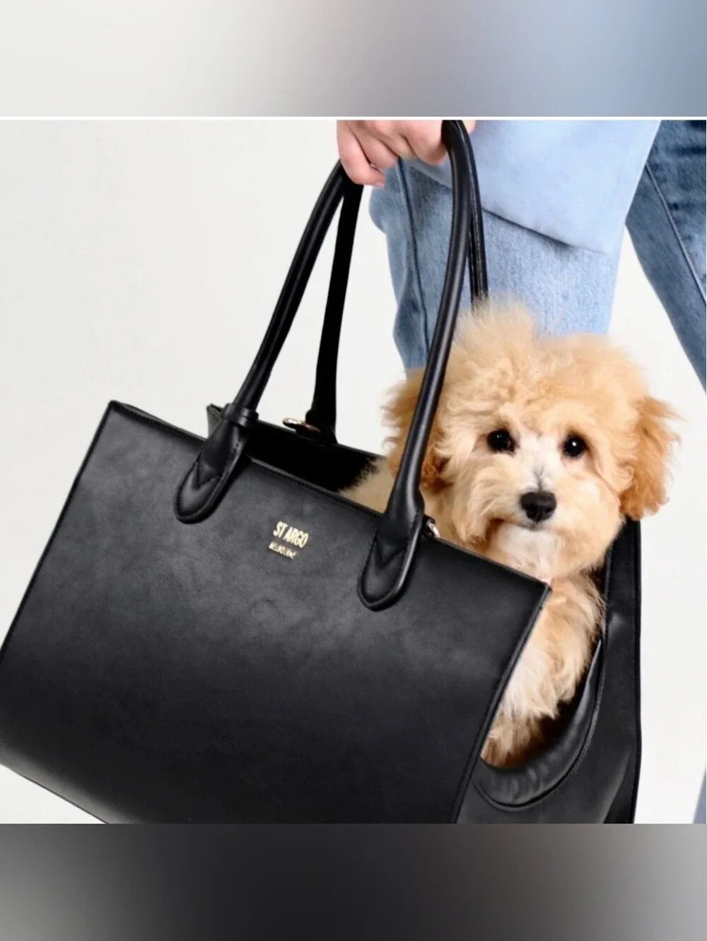 St. Argo Lola Dog Carrier